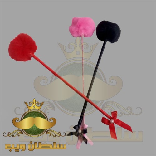 ريشة مداعبة الزوجين