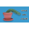 منتجات ضعف الانتصاب