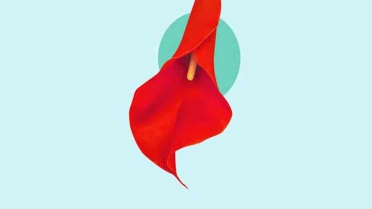 هل يهتم الرجل بلون المنطقة الحساسة للمرأة؟