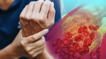 الكوليسترول وسرعة القذف