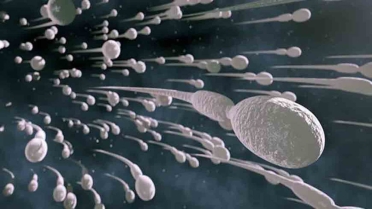 أضرار حبوب تأخير القذف على الزوج